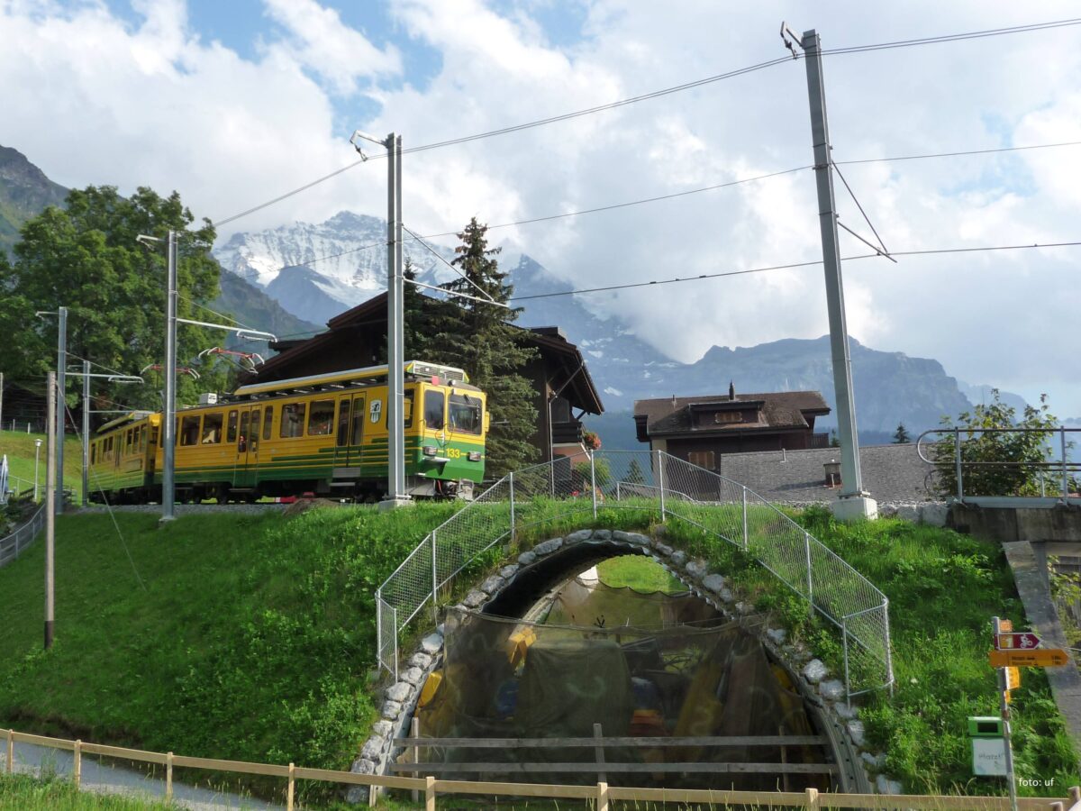 Schweiz Berner Oberland