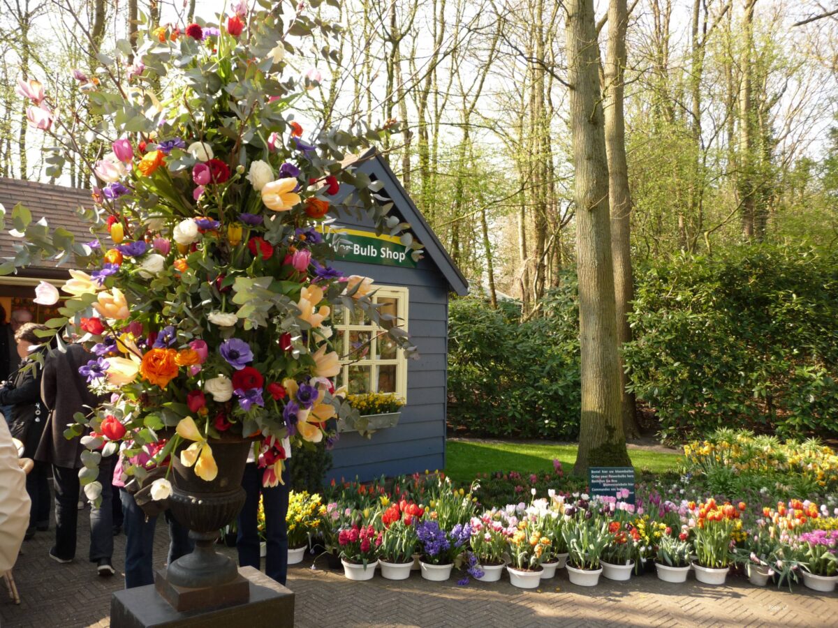 Blumengeschäft