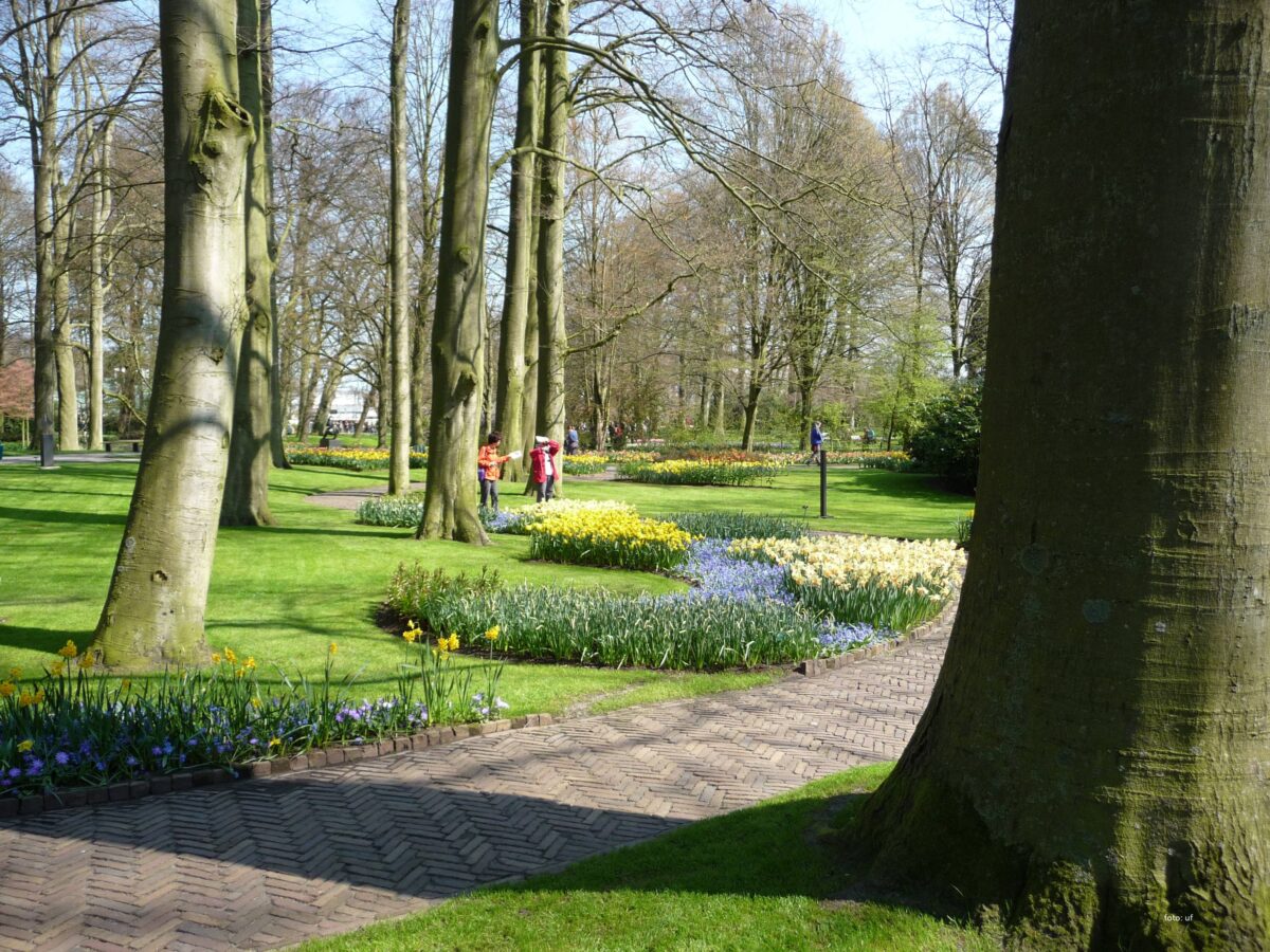 Wunderschöne Parkanlagen im Keukenhof