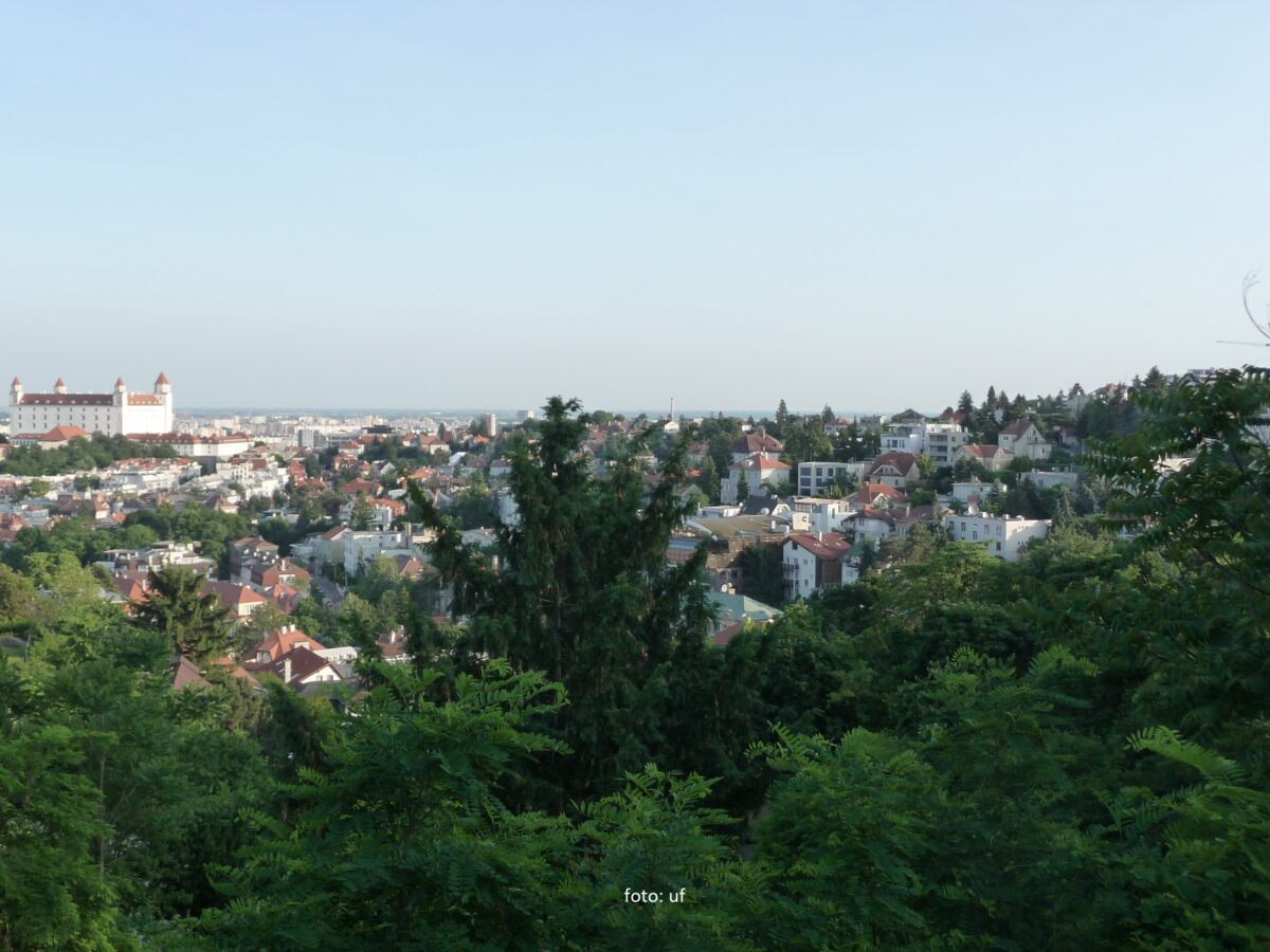 Blick auf Bratislava