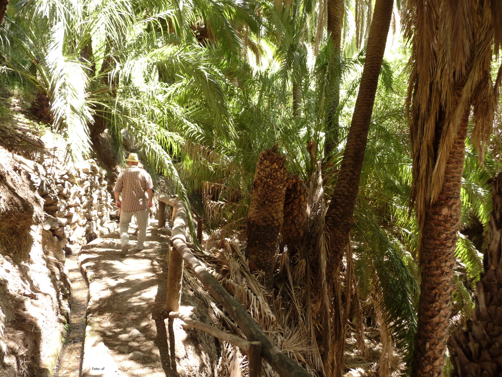 Spaziergang durch die Palmenoase bei Fataga
