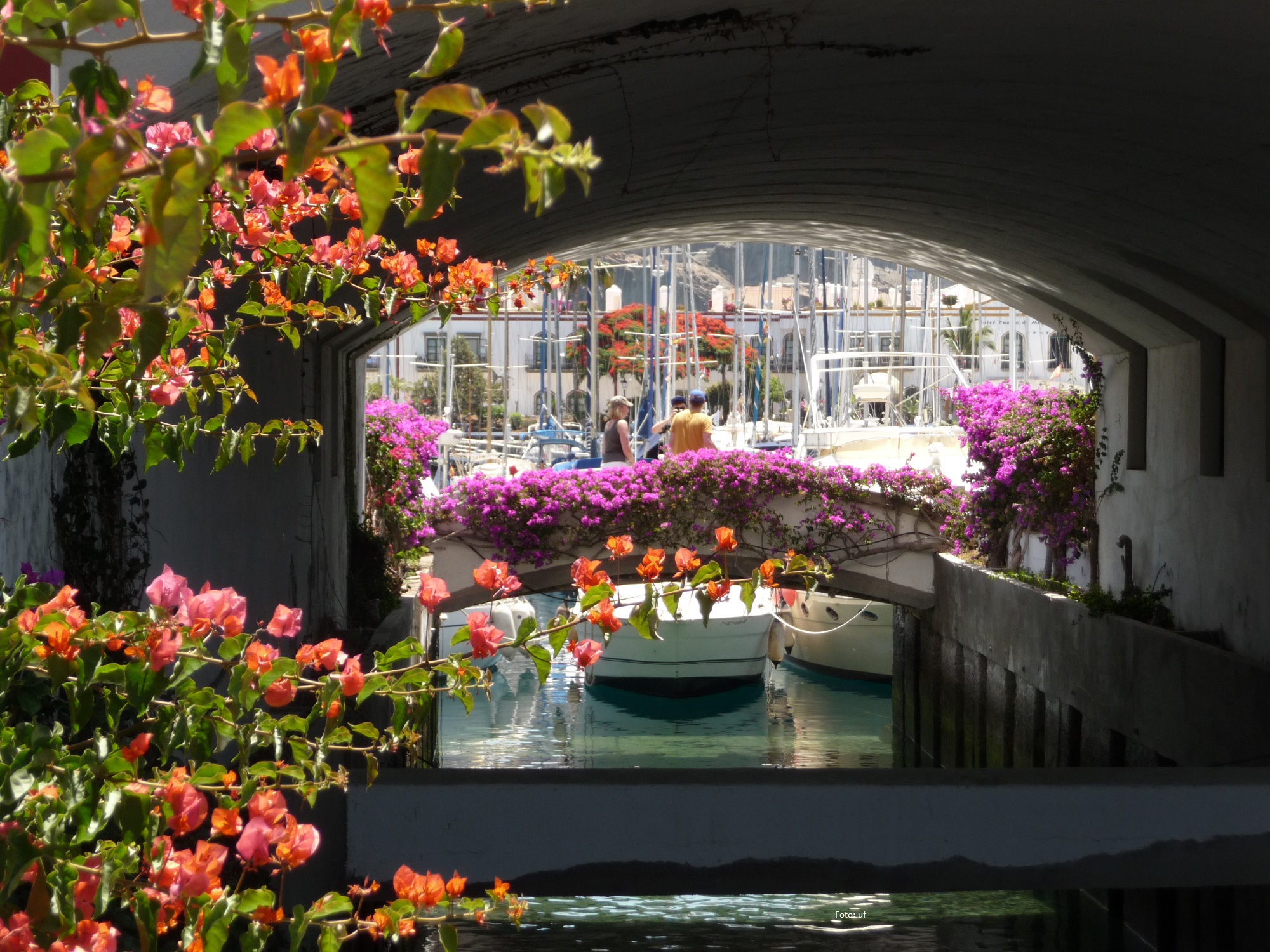 Schön angelegte Brücken und Kanäle verziert mit herrlichen Blumenranken in "Klein-Venedig" in Puerto de Mogàn