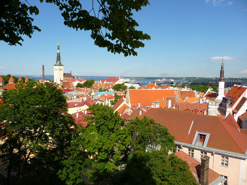 Blick über die Dächer der Unterstadt Tallins